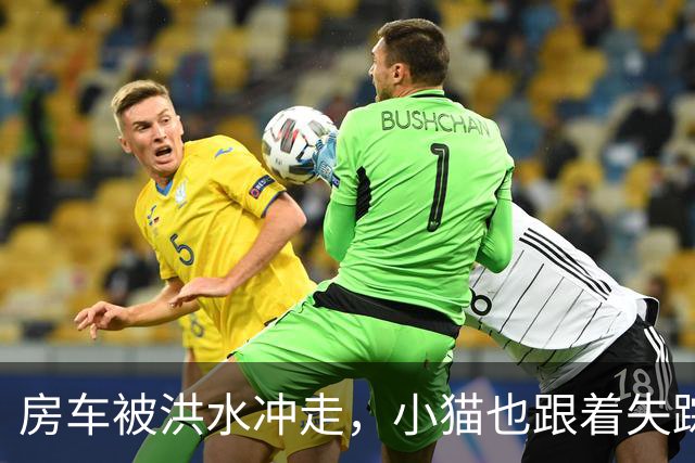 房车被洪水冲走，小猫也跟着失踪，8天后它突然回家了，全家人都哭了