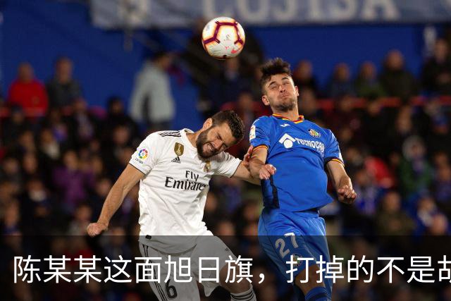 陈某某这面旭日旗，打掉的不是胡锡进的面子，是一层中邪论的滤镜